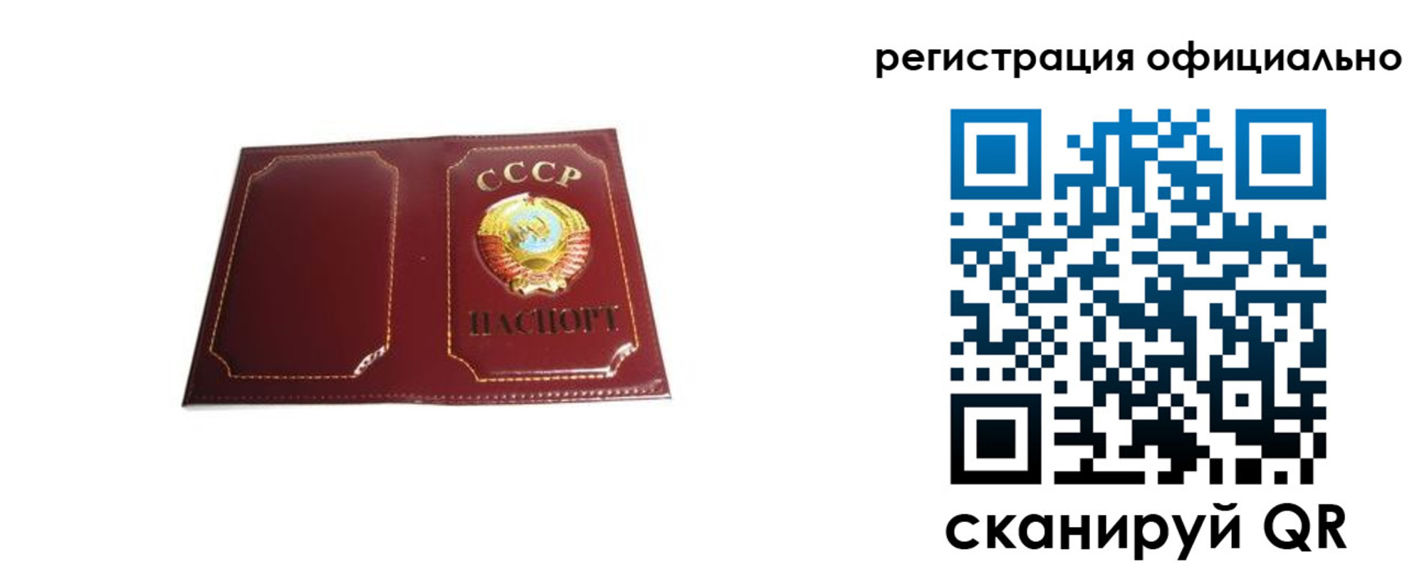 прописка в Светлограде